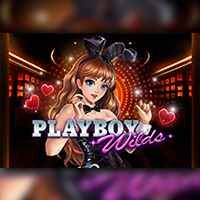 Playboys Wilds